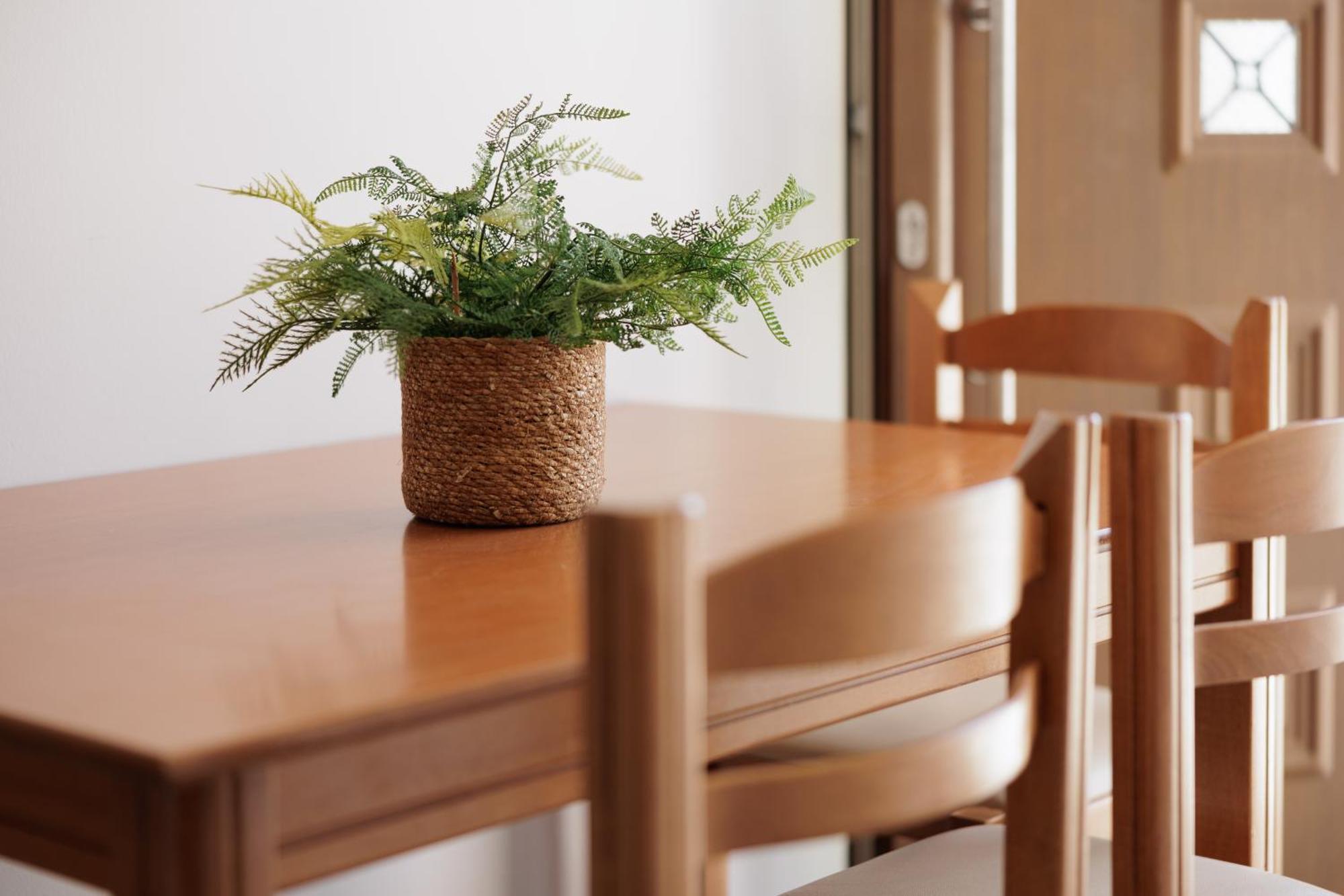 Santos Luxury Apartments Дасия Стая снимка